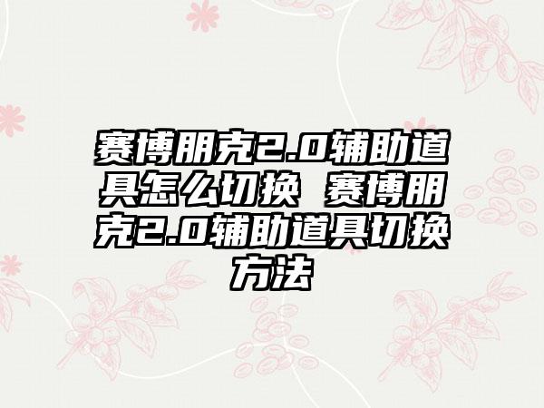 赛博朋克2.0辅助道具怎么切换 赛博朋克2.0辅助道具切换方法