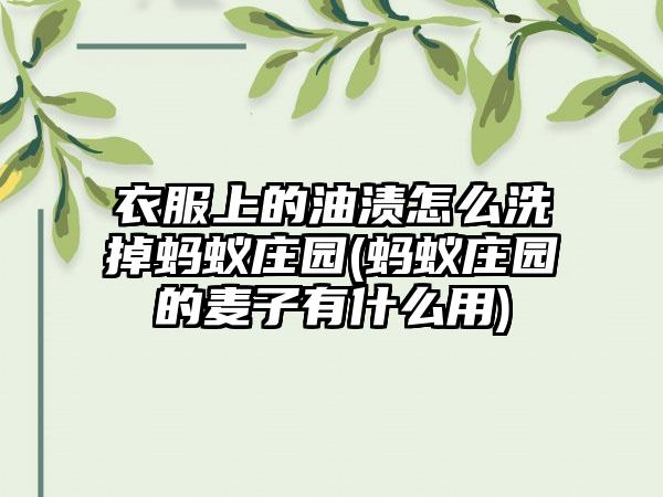 衣服上的油渍怎么洗掉蚂蚁庄园(蚂蚁庄园的麦子有什么用)