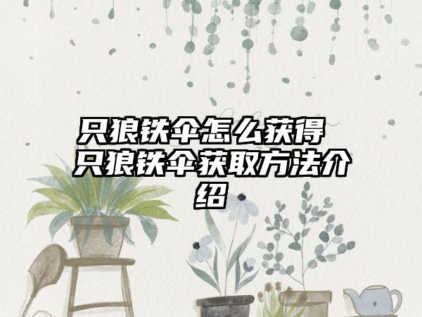 只狼铁伞怎么获得 只狼铁伞获取方法介绍