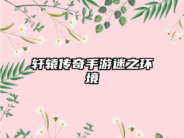 轩辕传奇手游迷之环境