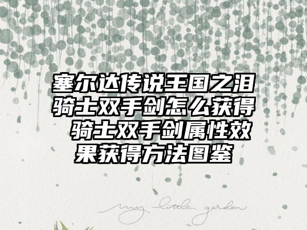 塞尔达传说王国之泪骑士双手剑怎么获得 骑士双手剑属性效果获得方法图鉴