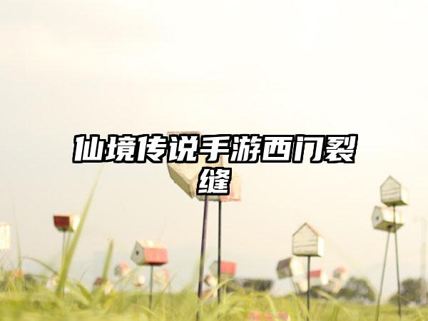 仙境传说手游西门裂缝