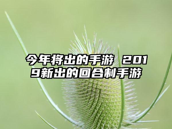 今年将出的手游 2019新出的回合制手游