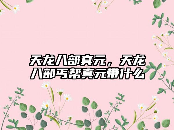 天龙八部真元，天龙八部丐帮真元带什么