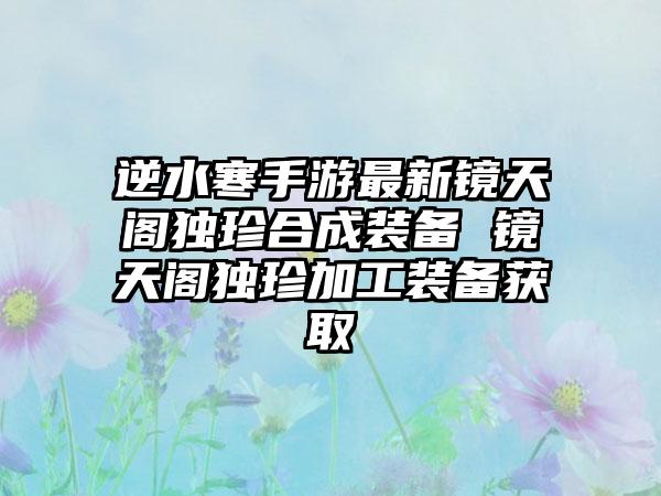 逆水寒手游最新镜天阁独珍合成装备 镜天阁独珍加工装备获取