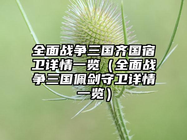 全面战争三国齐国宿卫详情一览（全面战争三国佩剑守卫详情一览）