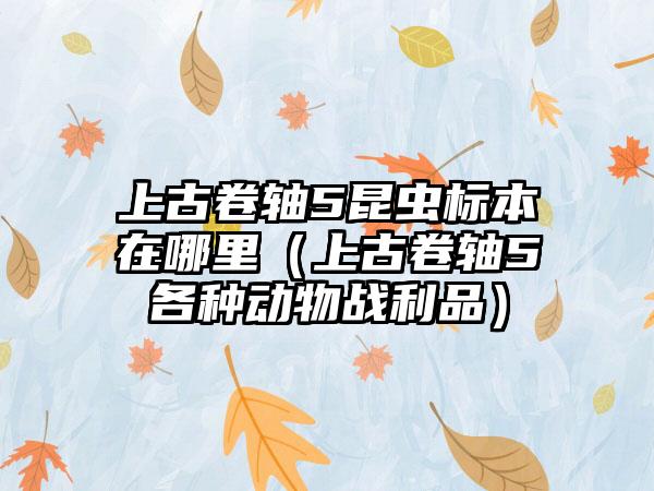 上古卷轴5昆虫标本在哪里（上古卷轴5各种动物战利品）