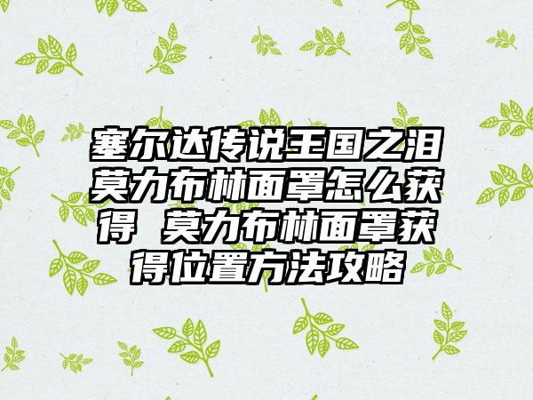 塞尔达传说王国之泪莫力布林面罩怎么获得 莫力布林面罩获得位置方法攻略