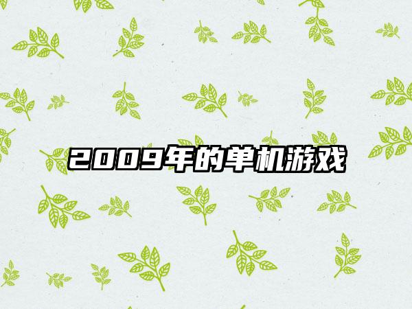 2009年的单机游戏