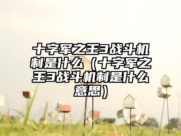 十字军之王3战斗机制是什么（十字军之王3战斗机制是什么意思）