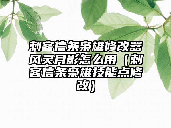 刺客信条枭雄修改器风灵月影怎么用（刺客信条枭雄技能点修改）