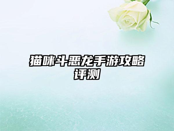 猫咪斗恶龙手游攻略评测