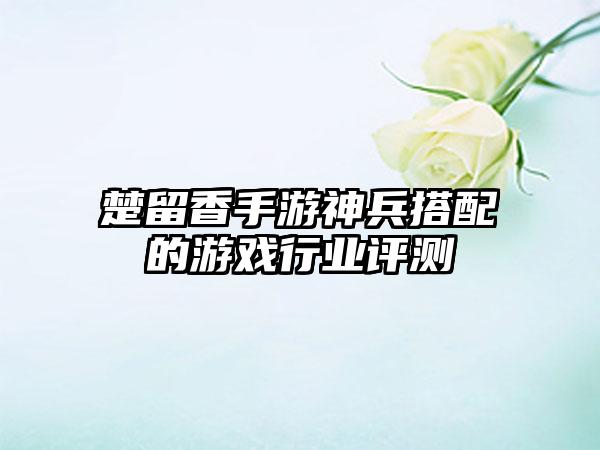楚留香手游神兵搭配的游戏行业评测