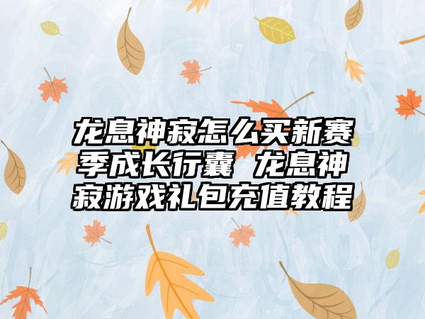 龙息神寂怎么买新赛季成长行囊 龙息神寂游戏礼包充值教程