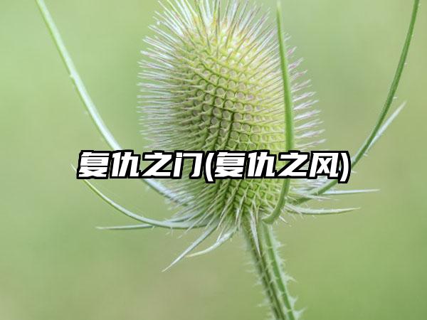 复仇之门(复仇之风)