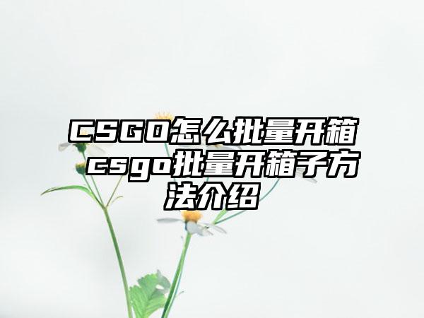 CSGO怎么批量开箱 csgo批量开箱子方法介绍