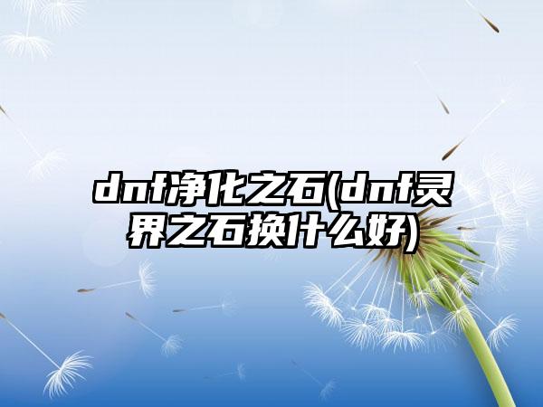 dnf净化之石(dnf灵界之石换什么好)