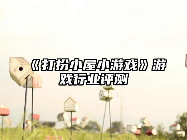 《打扮小屋小游戏》游戏行业评测