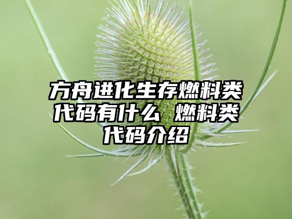 方舟进化生存燃料类代码有什么 燃料类代码介绍