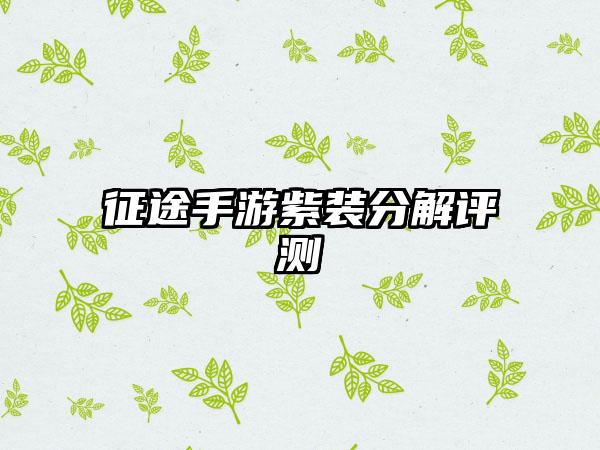 征途手游紫装分解评测