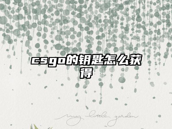 csgo的钥匙怎么获得