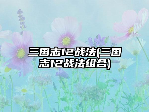 三国志12战法(三国志12战法组合)