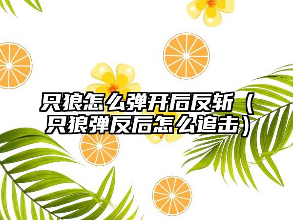 只狼怎么弹开后反斩（只狼弹反后怎么追击）