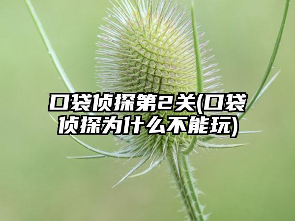 口袋侦探第2关(口袋侦探为什么不能玩)