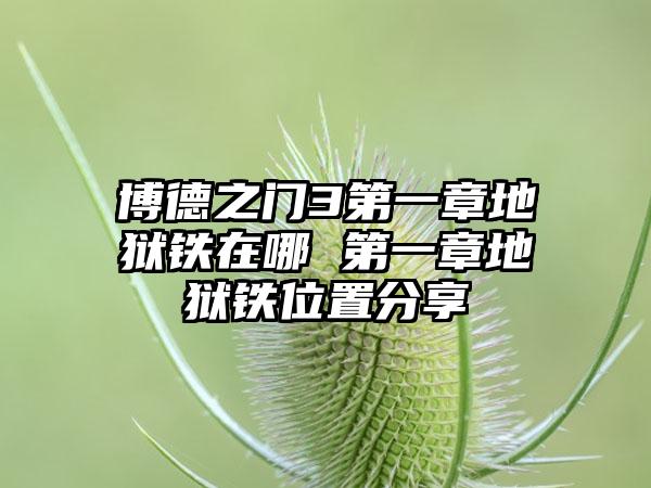 博德之门3第一章地狱铁在哪 第一章地狱铁位置分享