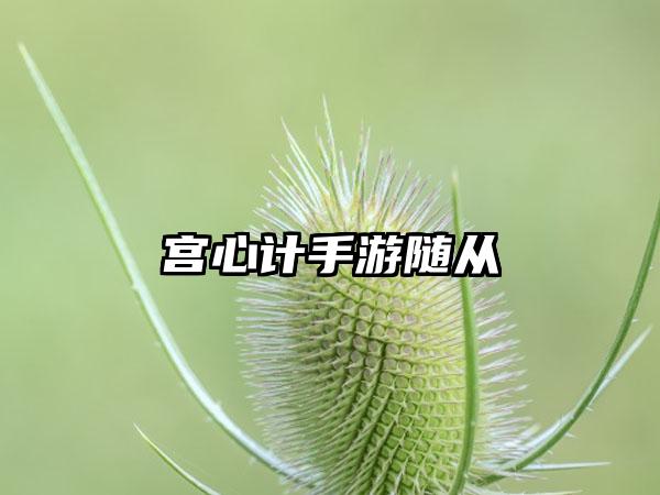 宫心计手游随从