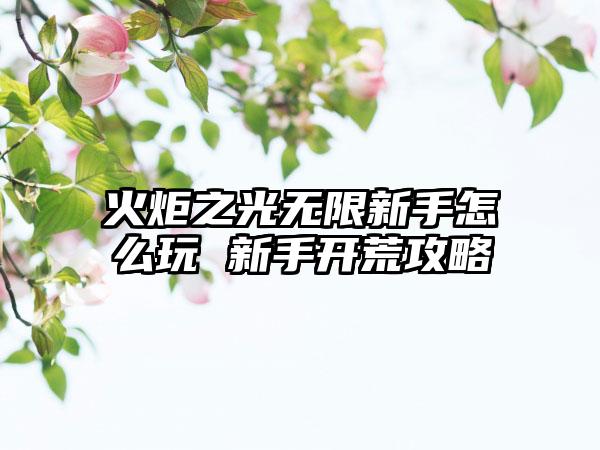 火炬之光无限新手怎么玩 新手开荒攻略