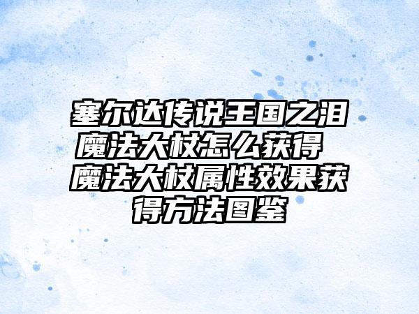 塞尔达传说王国之泪魔法大杖怎么获得 魔法大杖属性效果获得方法图鉴