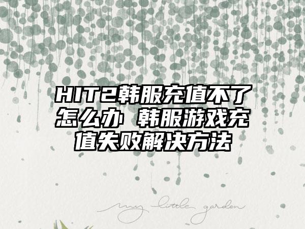 HIT2韩服充值不了怎么办 韩服游戏充值失败解决方法