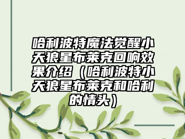 哈利波特魔法觉醒小天狼星布莱克回响效果介绍（哈利波特小天狼星布莱克和哈利的情头）