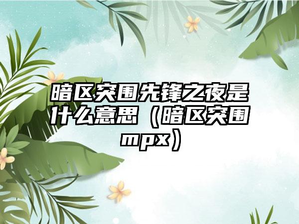 暗区突围先锋之夜是什么意思（暗区突围mpx）