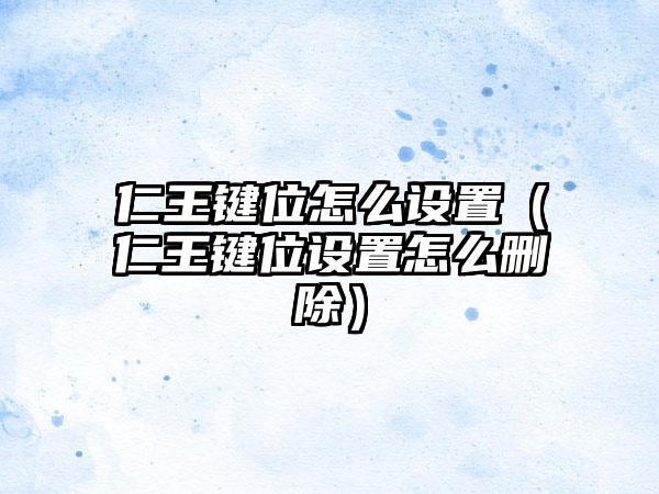 仁王键位怎么设置（仁王键位设置怎么删除）