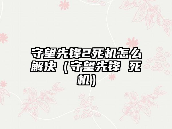 守望先锋2死机怎么解决（守望先锋 死机）