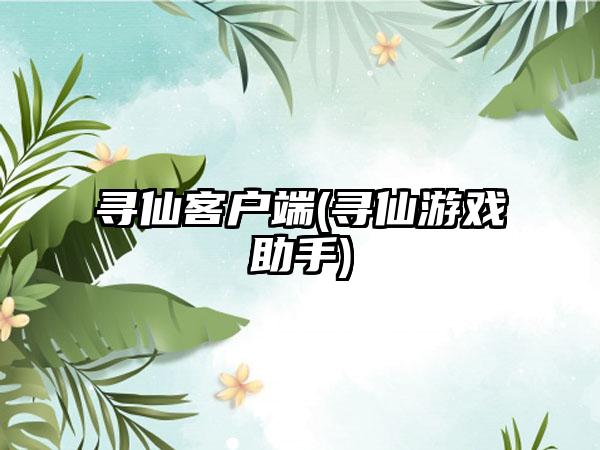 寻仙客户端(寻仙游戏助手)