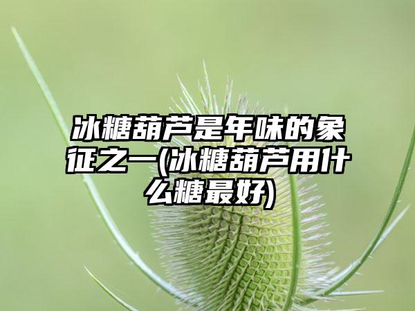 冰糖葫芦是年味的象征之一(冰糖葫芦用什么糖最好)