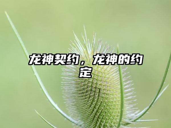龙神契约，龙神的约定