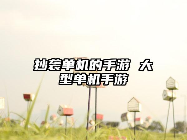 抄袭单机的手游 大型单机手游