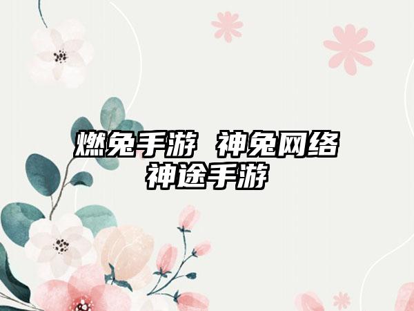 燃兔手游 神兔网络神途手游