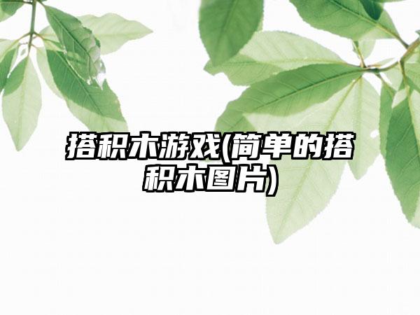 搭积木游戏(简单的搭积木图片)