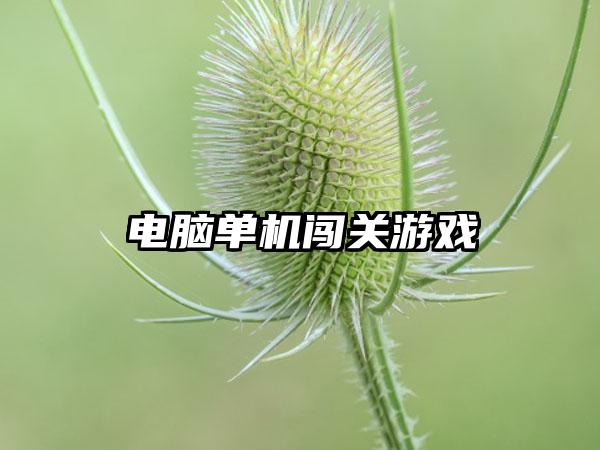 电脑单机闯关游戏
