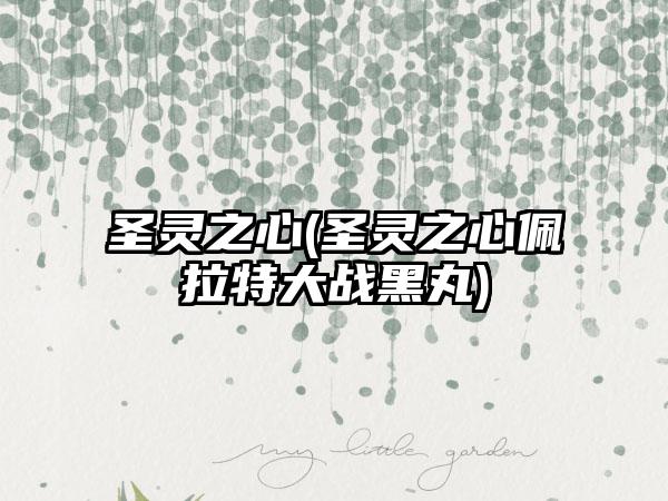 圣灵之心(圣灵之心佩拉特大战黑丸)