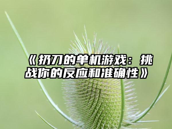 《扔刀的单机游戏：挑战你的反应和准确性》