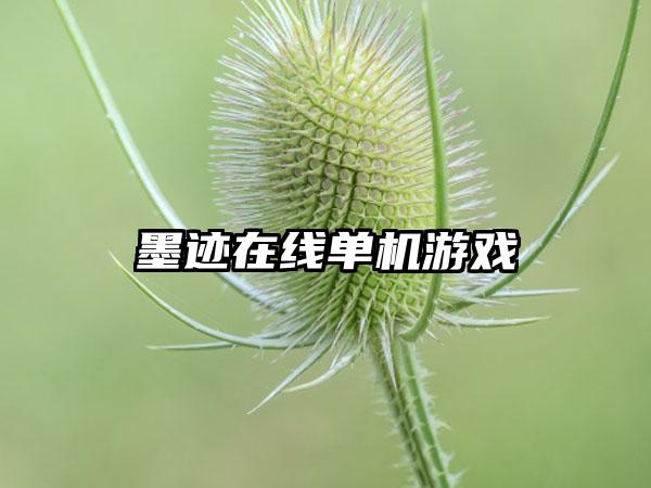 墨迹在线单机游戏