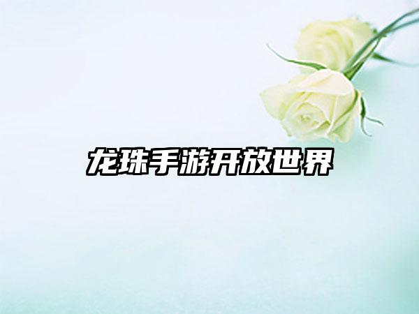 龙珠手游开放世界