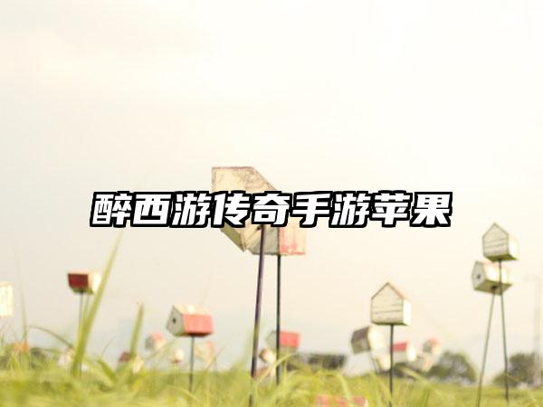 醉西游传奇手游苹果