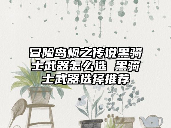 冒险岛枫之传说黑骑士武器怎么选 黑骑士武器选择推荐